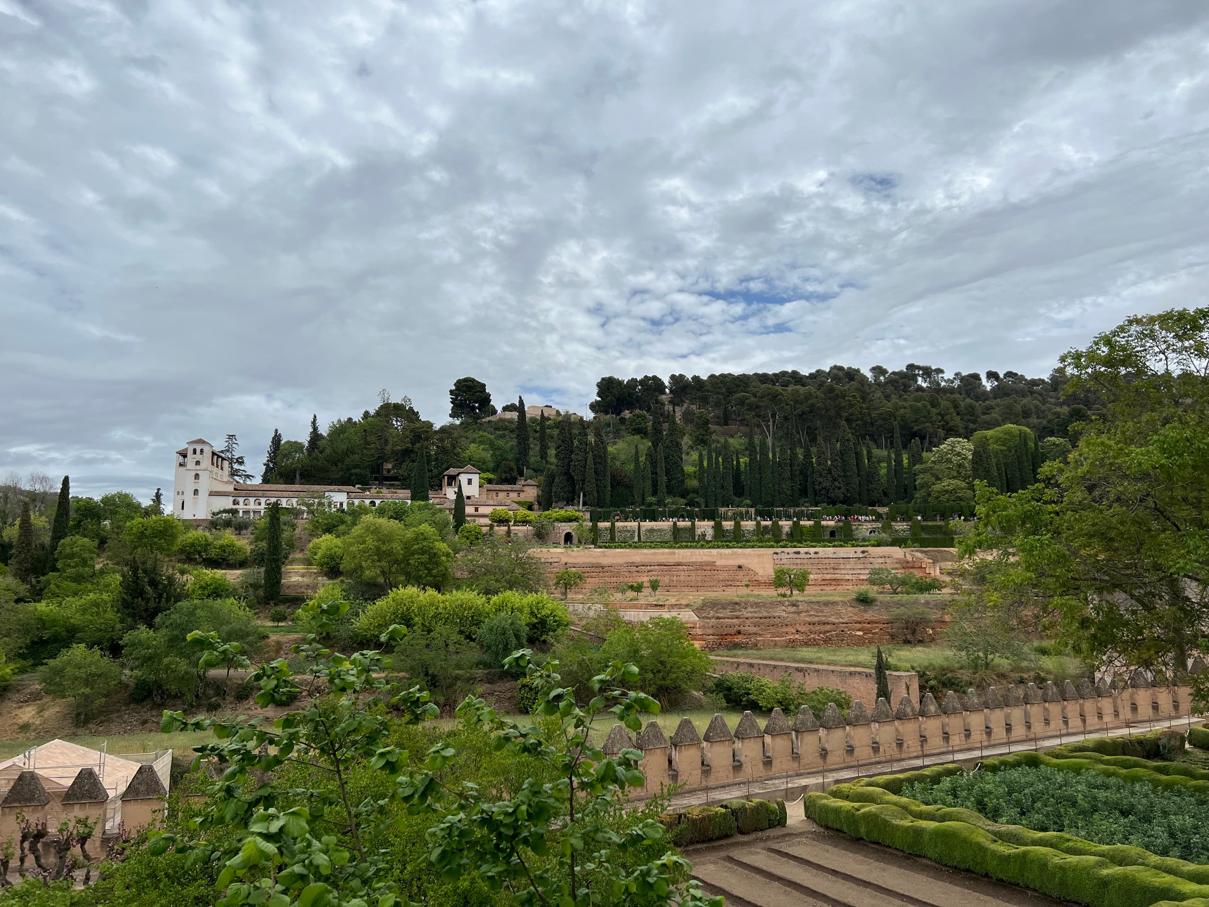 Cypresses and gardens at the Generalife