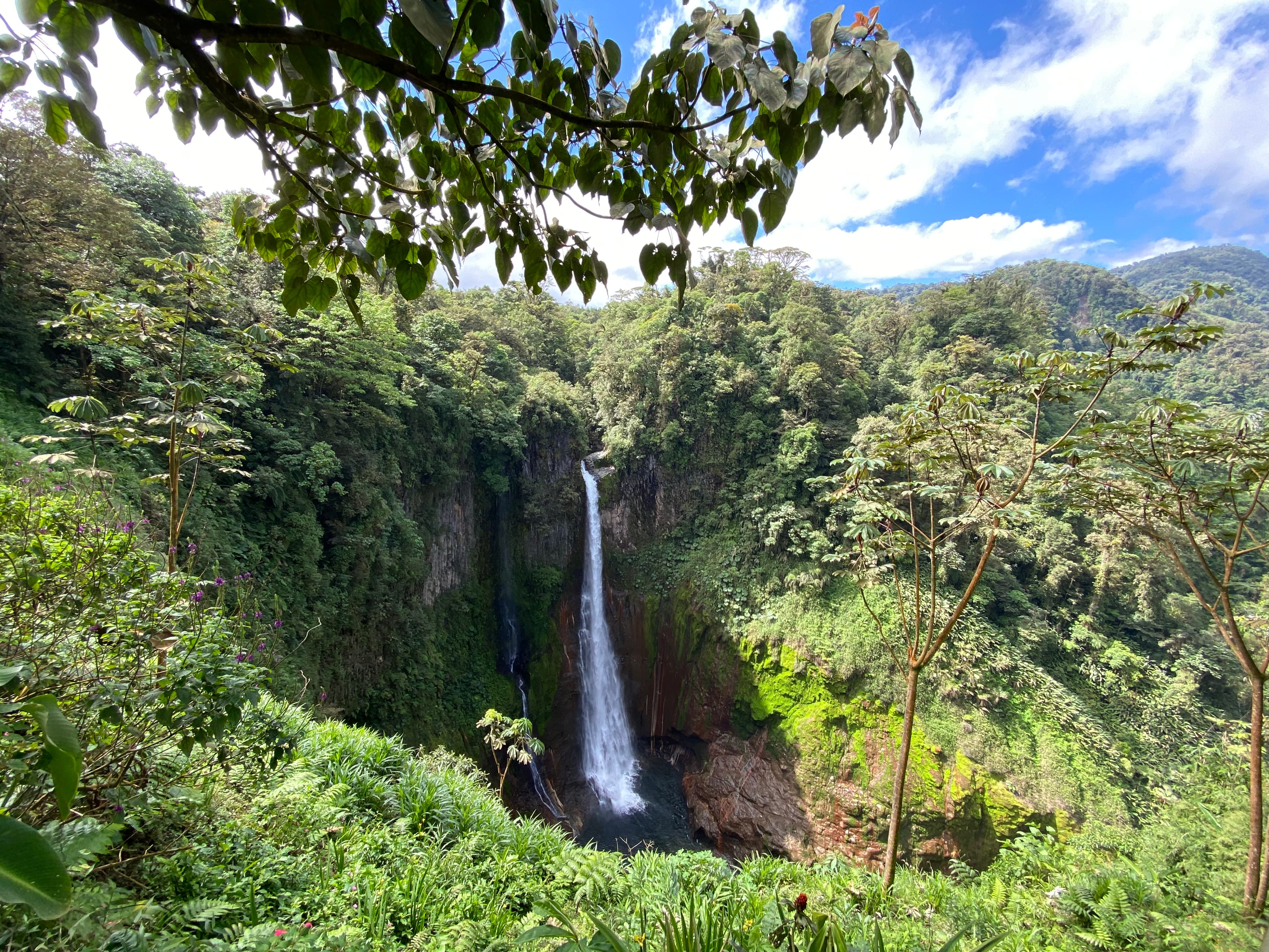 A waterfall dropping into a jungle canyon